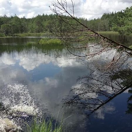 Ostoja Sosnowa Czarny Mlyn, Kompleks Dwoch Nowych Domkow Экстерьер фото