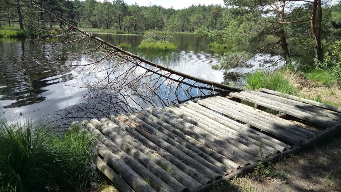 Ostoja Sosnowa Czarny Mlyn, Kompleks Dwoch Nowych Domkow Экстерьер фото